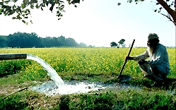 biopact_punjab_irrigation.jpg